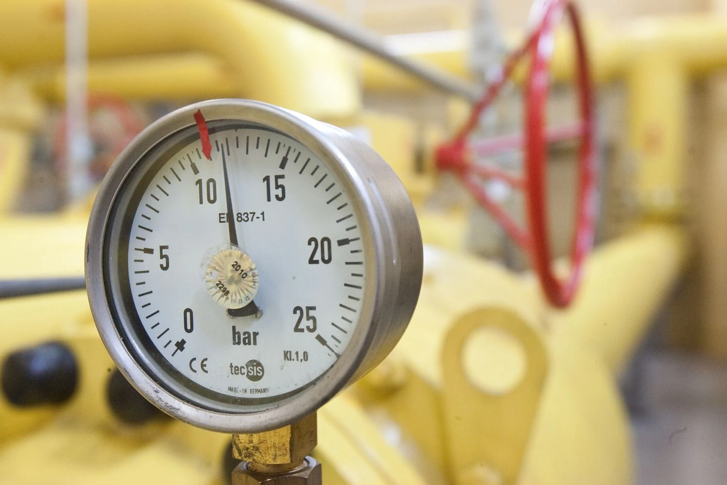 Herkaus Milaševičiaus nuotr.