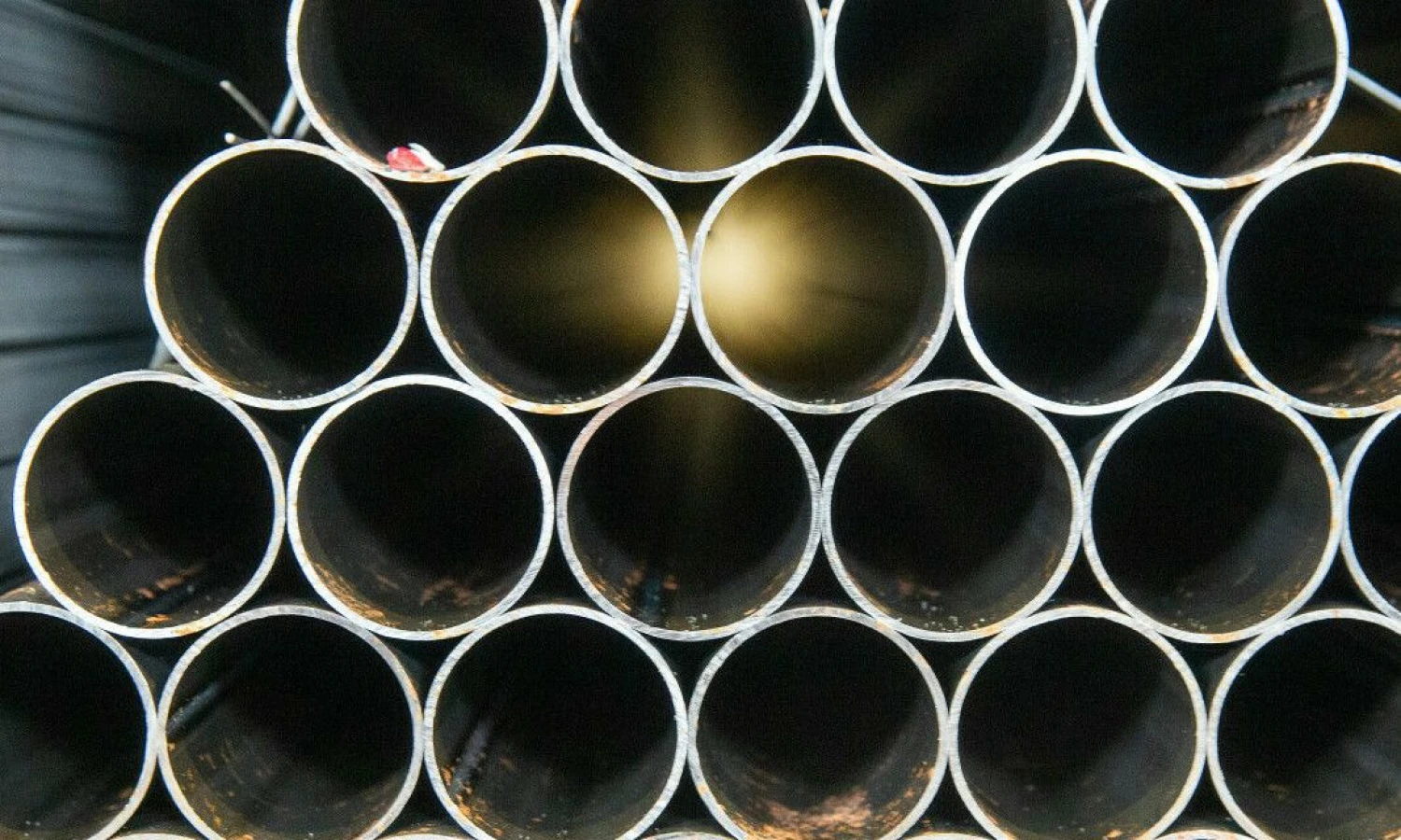 Vladimiro Ivanovo (VŽ) nuotr.