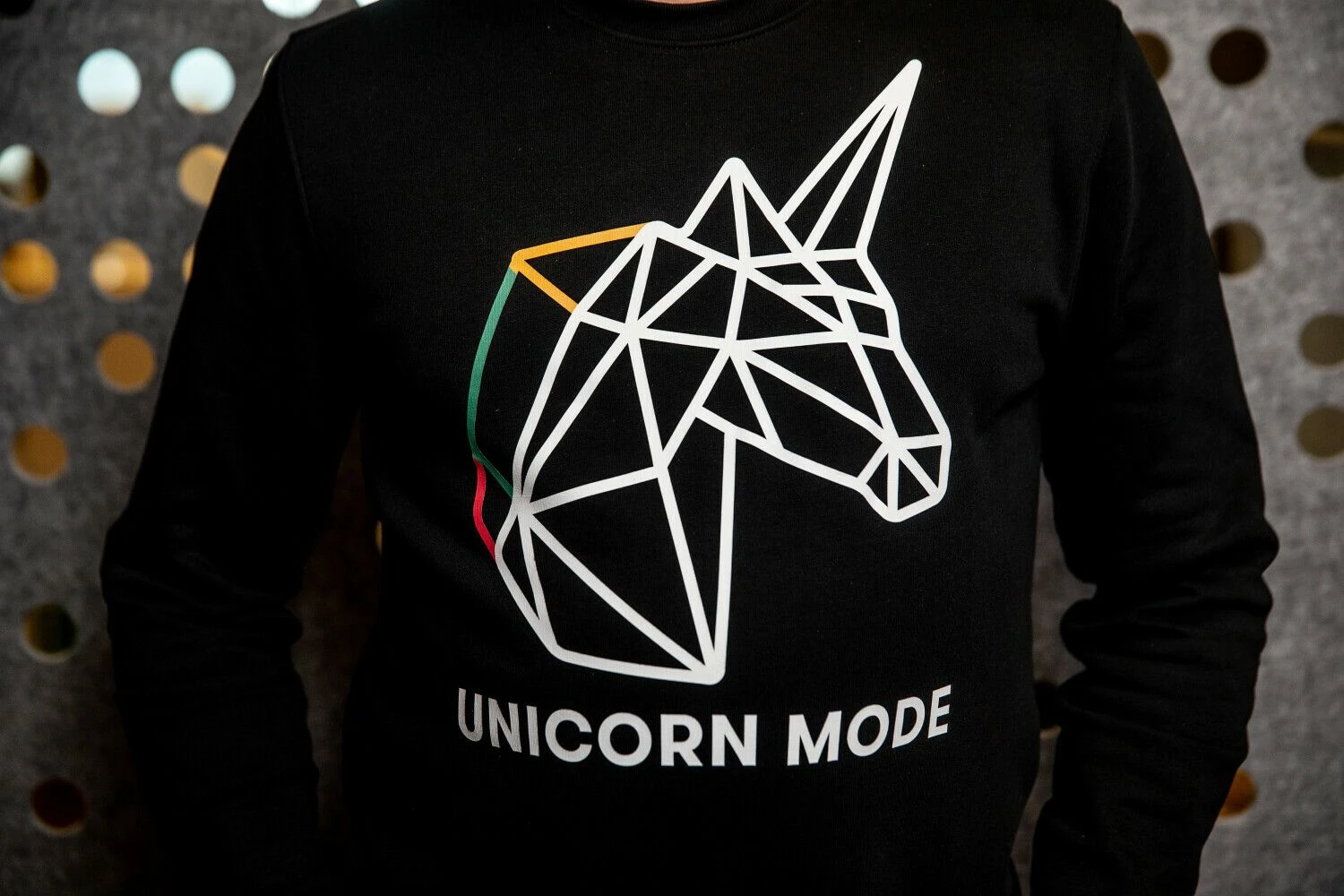 Vladimiro Ivanovo (VŽ) nuotr.