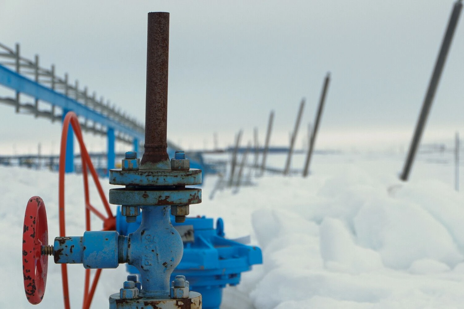 Naglio Navako (VŽ) nuotr.