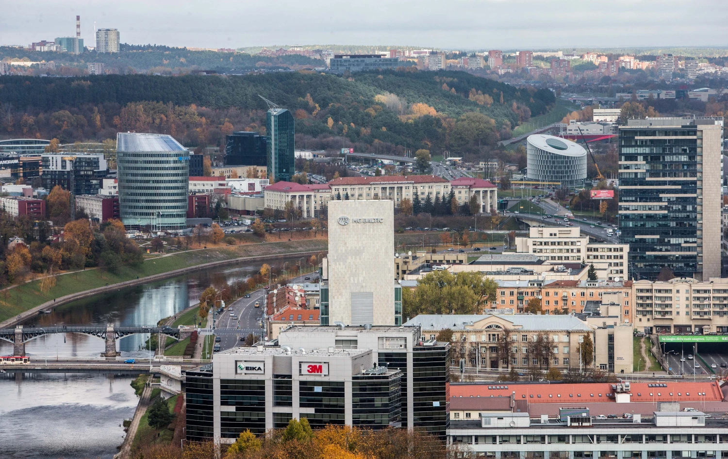 Juditos Grigelytės (VŽ) nuotr.