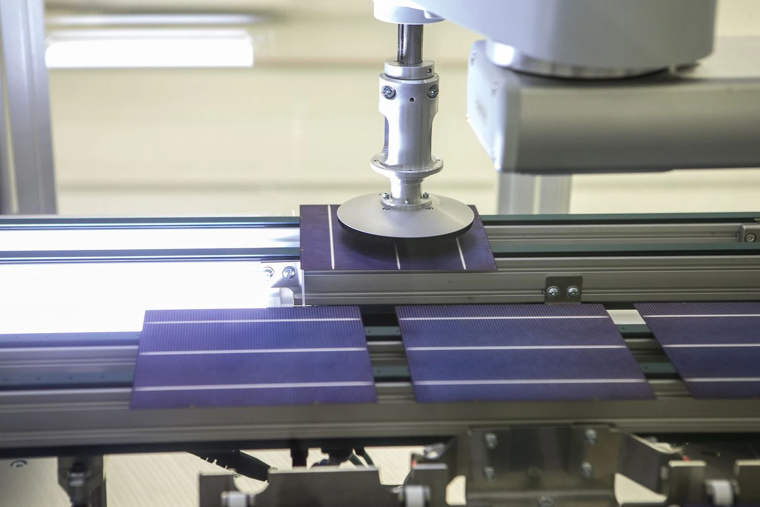 Juditos Grigelytės (VŽ) nuotr.