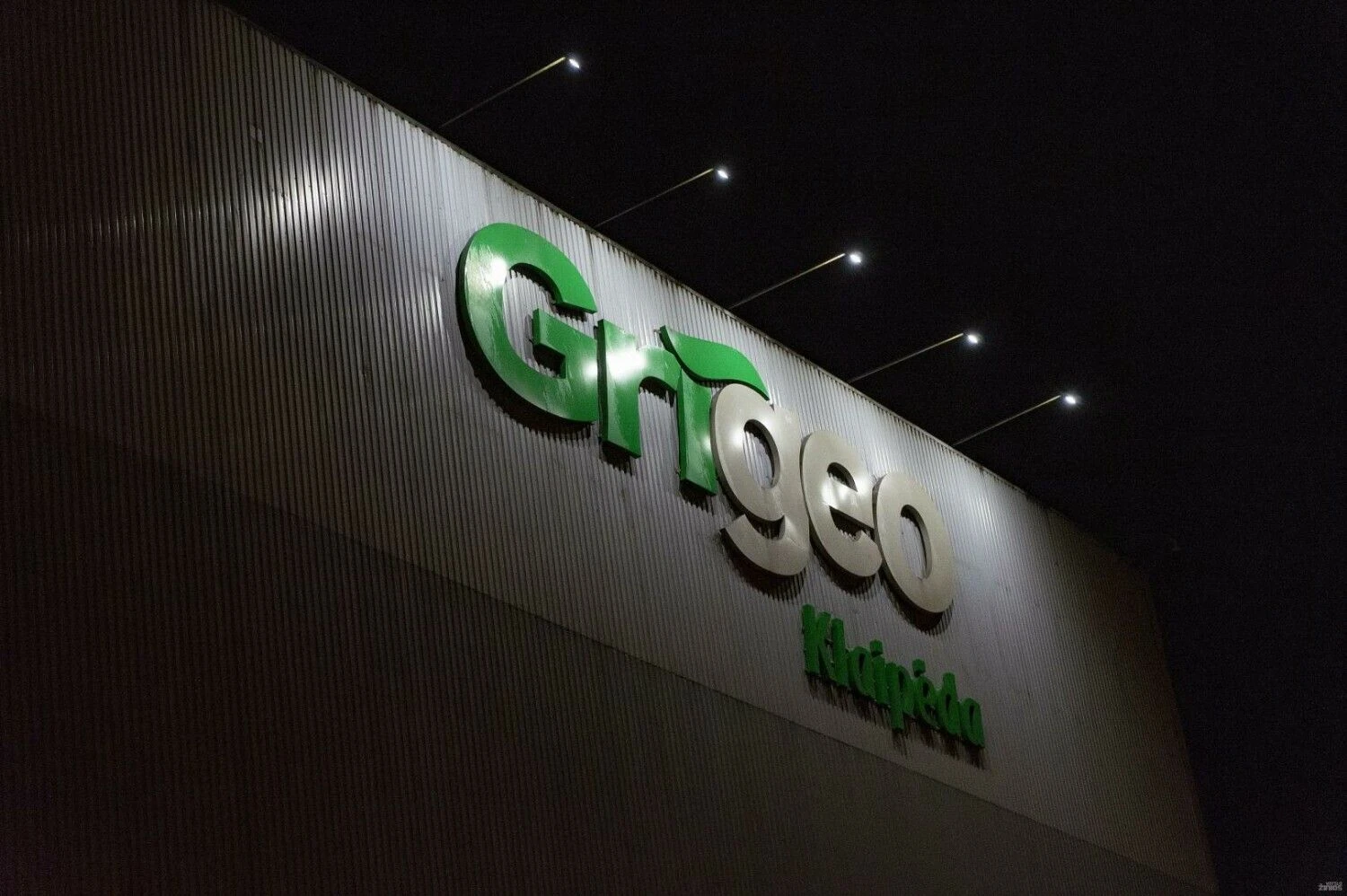 Algimanto Kalvaičio nuotr.