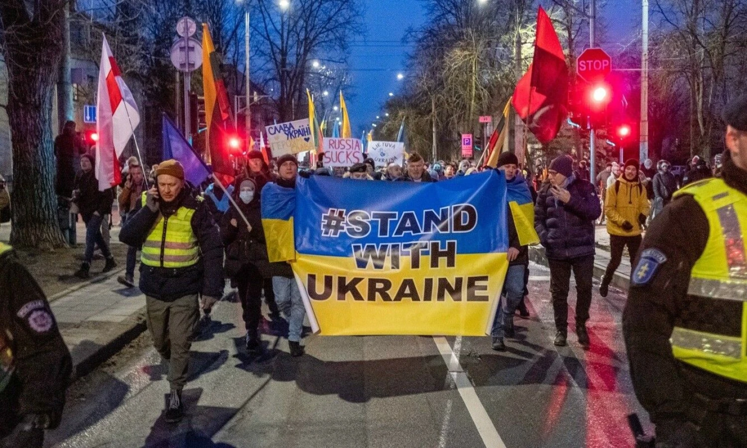 Ukrainos palaikymo akcija Vilniuje. Vladimiro Ivanovo (VŽ) nuotr.