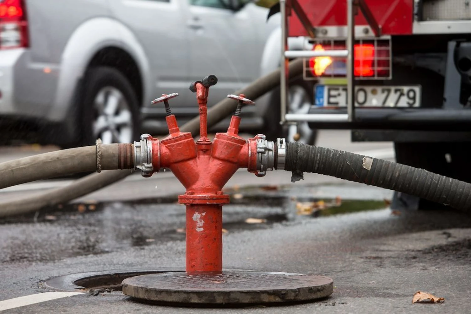 Juditos Grigelytės (VŽ) nuotr.