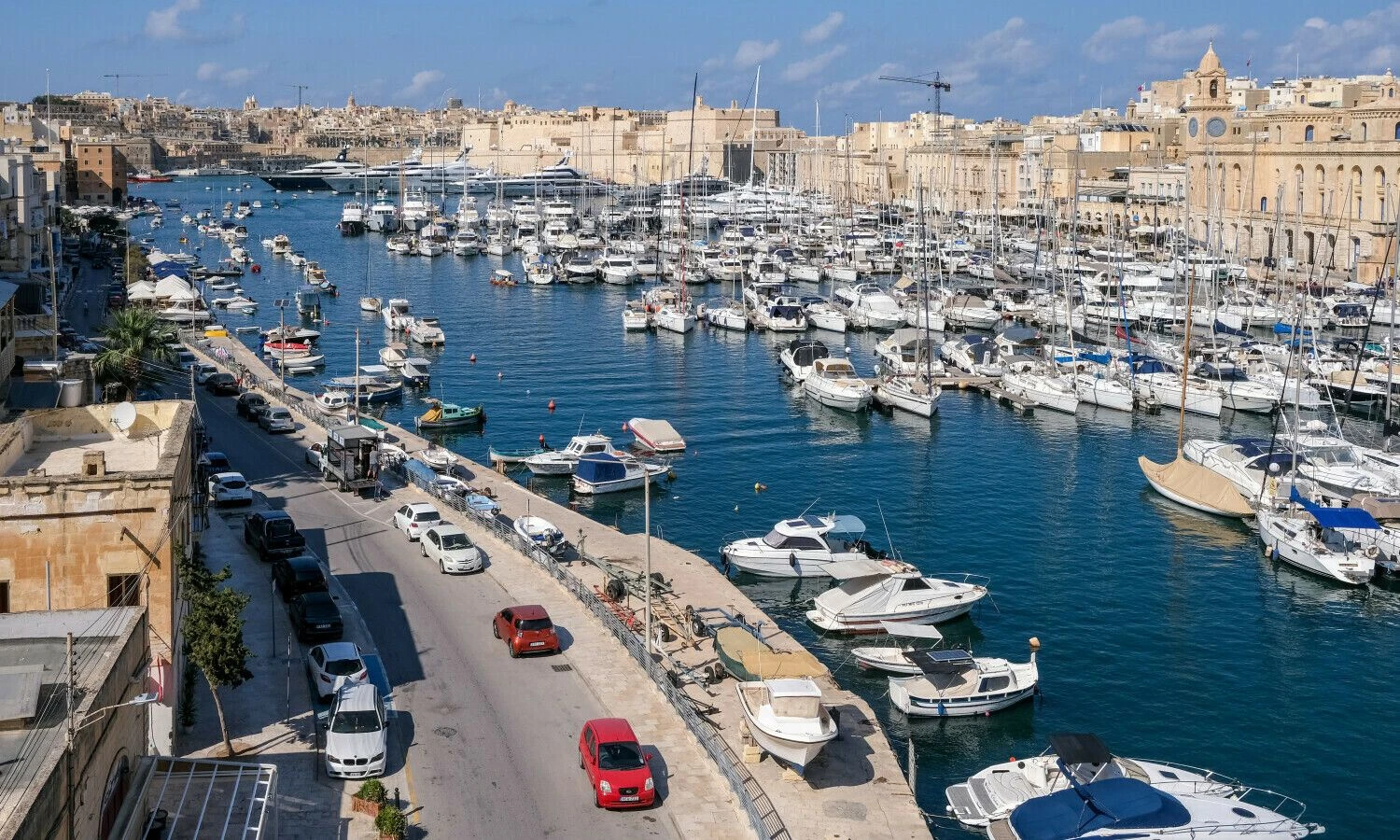 Senglėja. Aušros Barysienės nuotr.