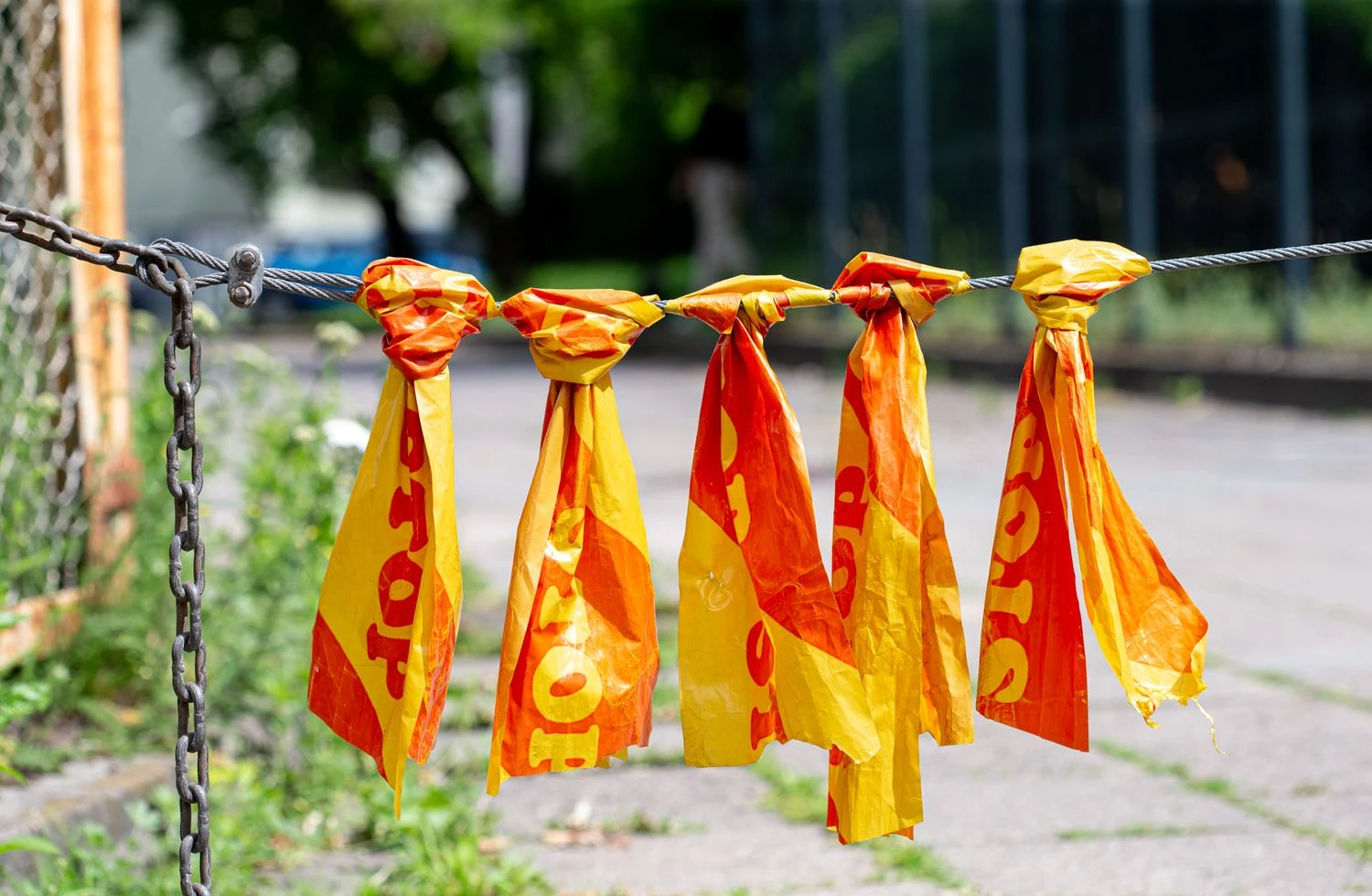 Juditos Grigelytės (VŽ) nuotr.