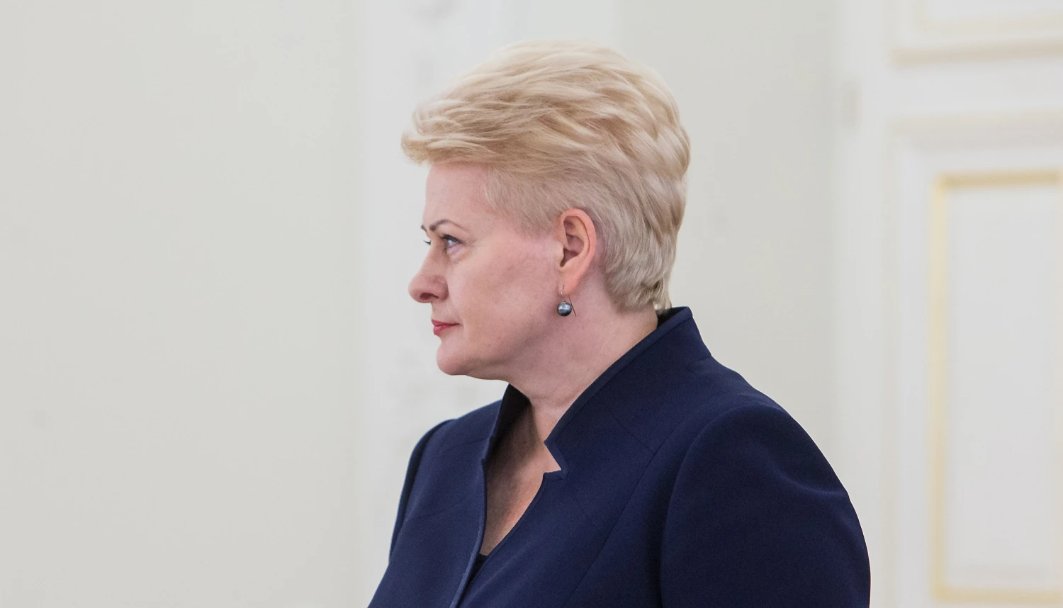 Dalia Grybauskaitė, Lietuvos Respublikos Prezidentė. Juditos Grigelytės (VŽ) nuotr.