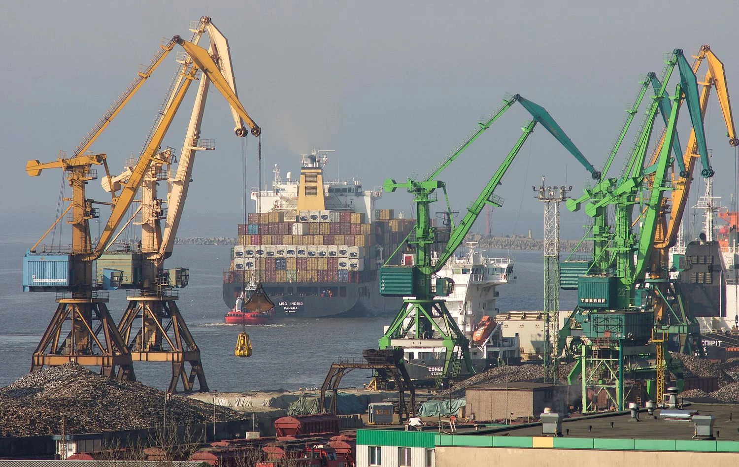 Algimanto Kalvaičio nuotr.