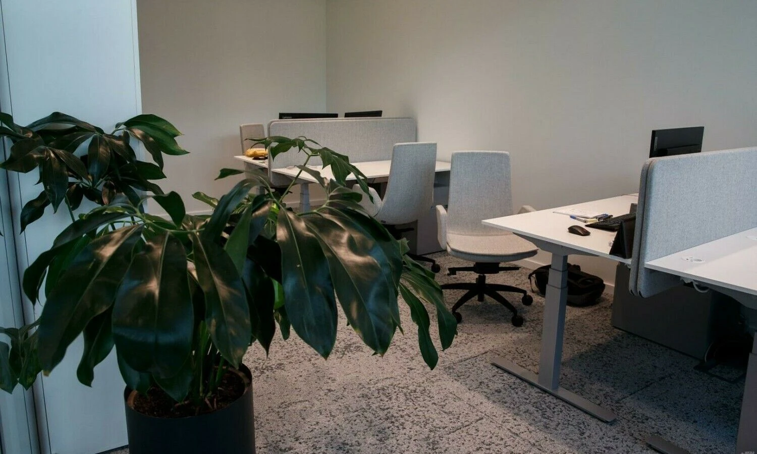 Juditos Grigelytės (VŽ) nuotr.