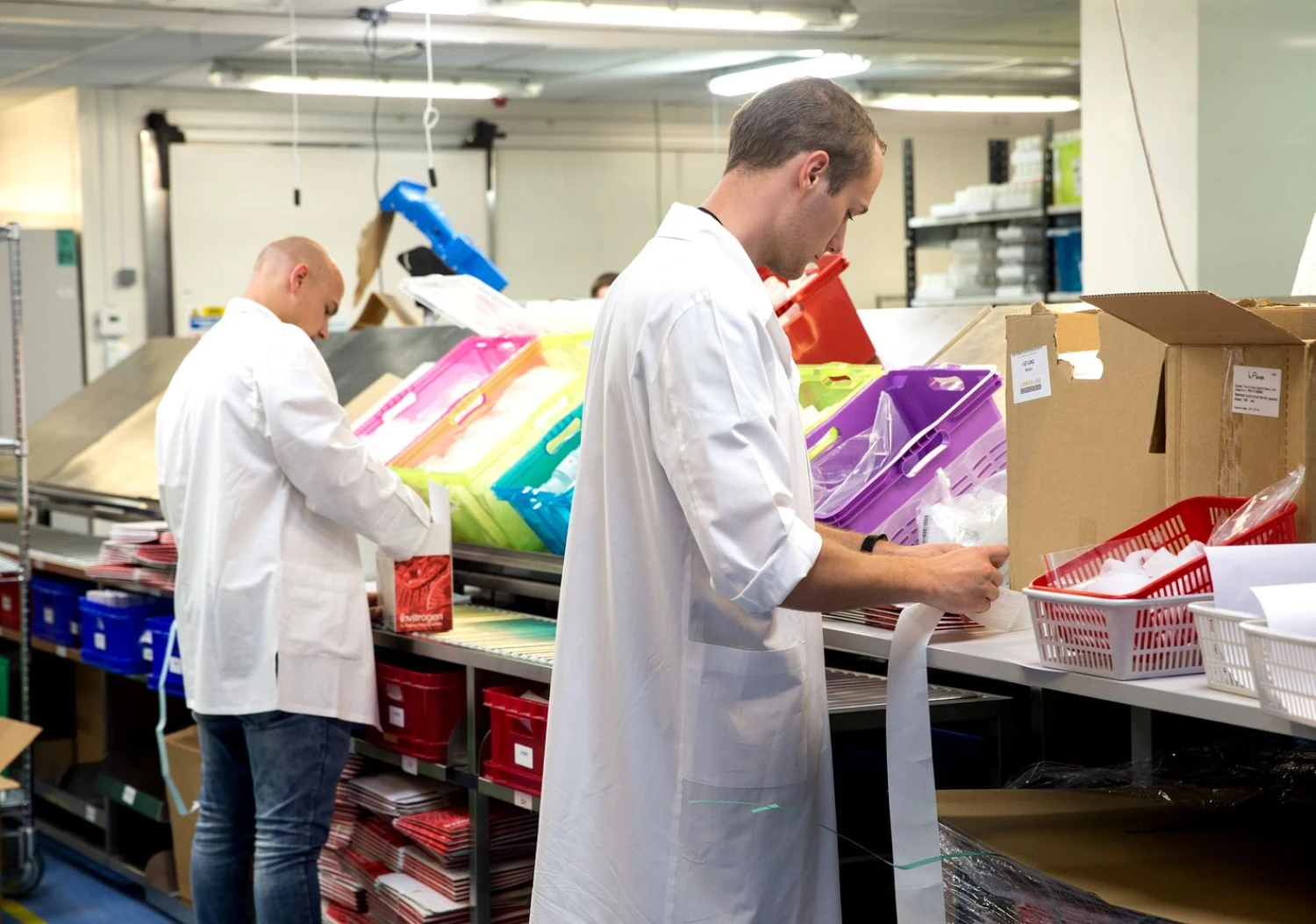 Juditos Grigelytės (VŽ) nuotr.