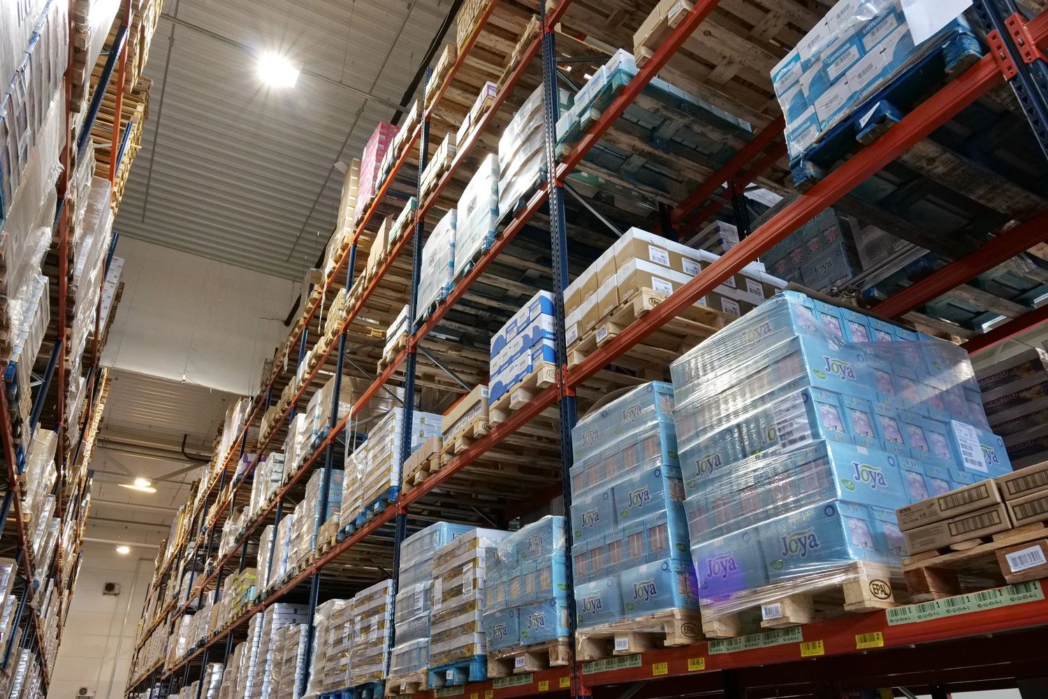 Vladimiro Ivanovo (VŽ) nuotr.