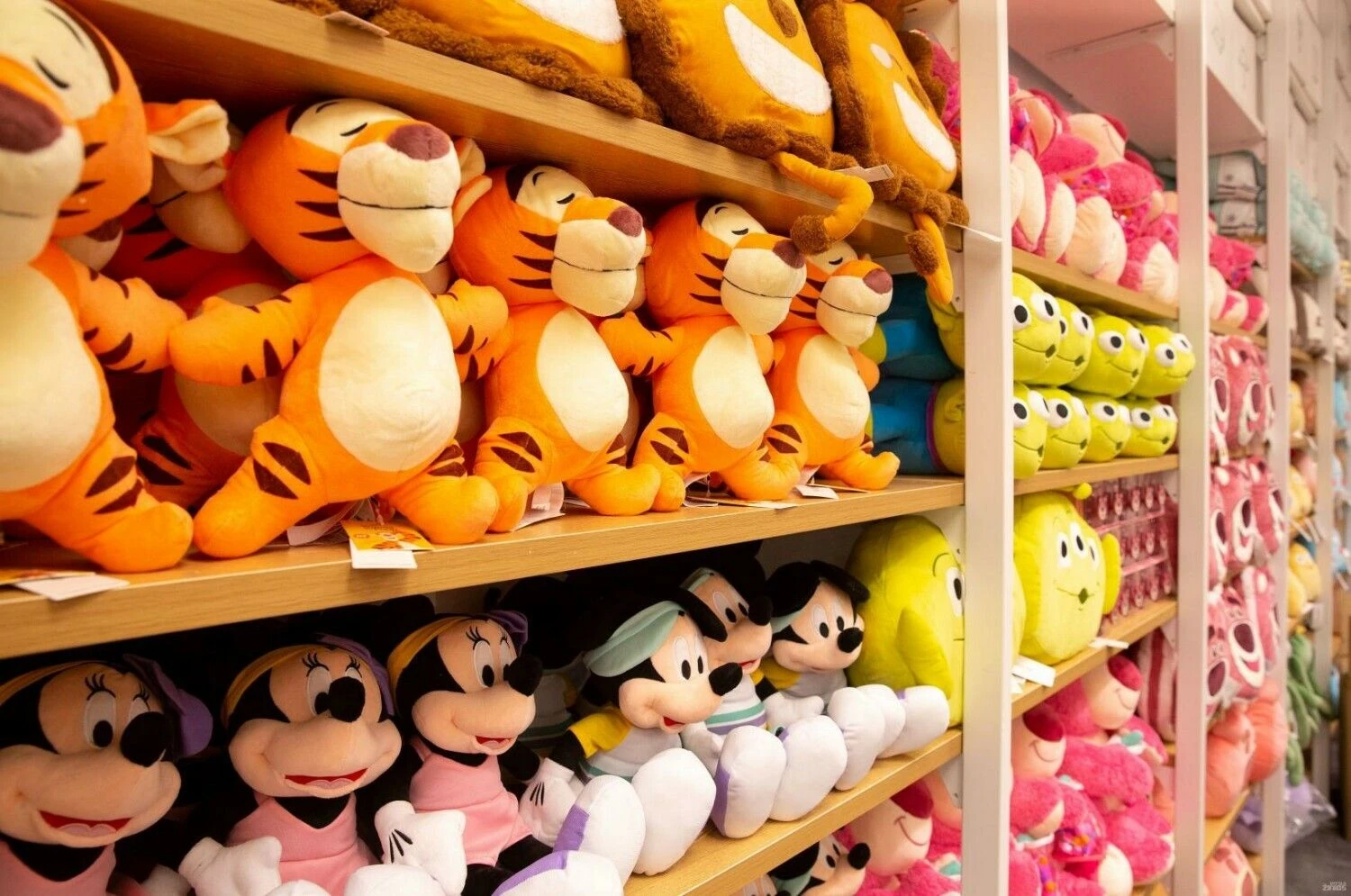 Juditos Grigelytės (VŽ) nuotr.