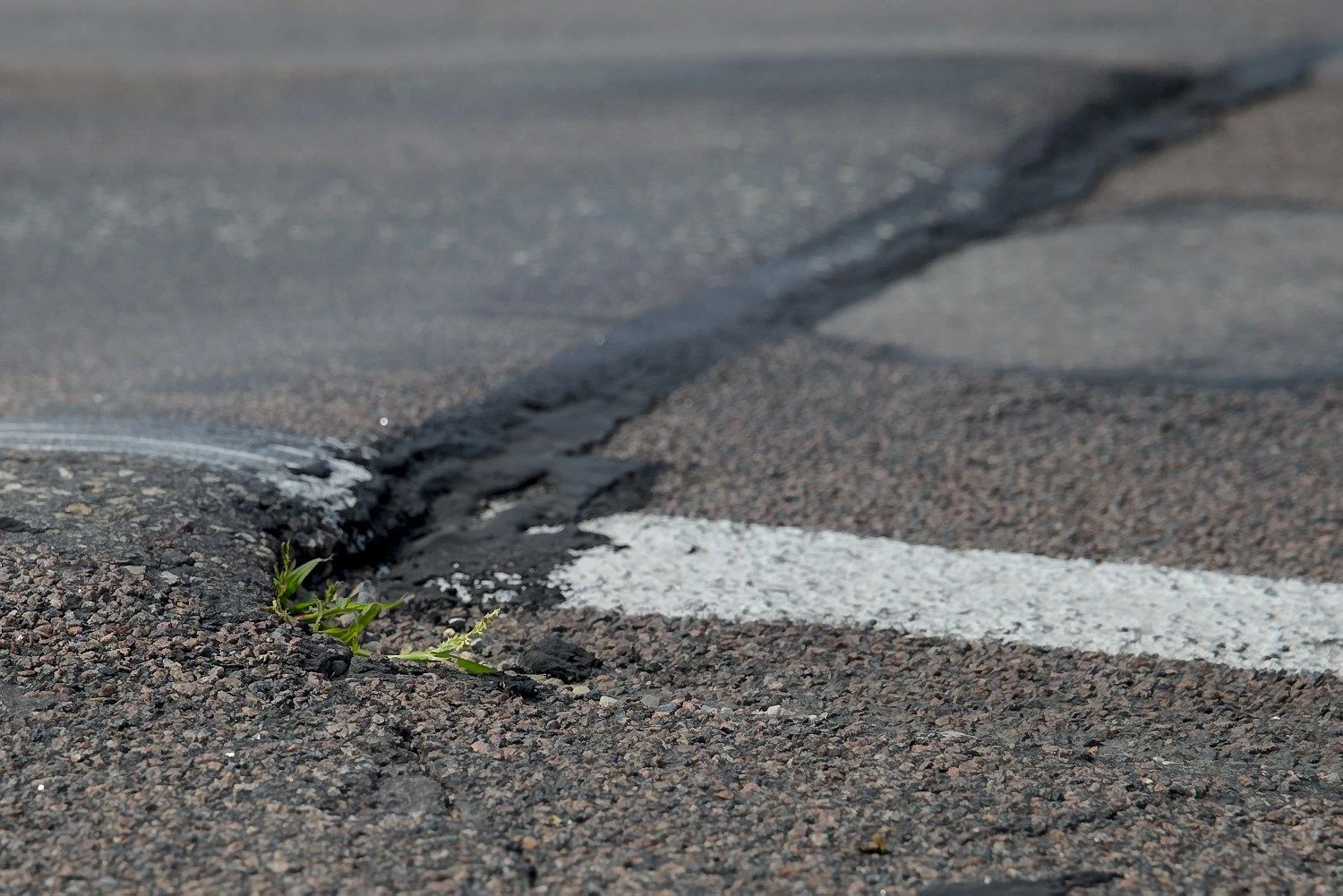 Vladimiro Ivanovo (VŽ) nuotr.