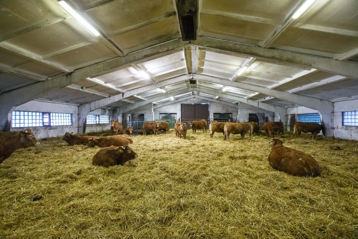 Vladimiro Ivanovo (VŽ) nuotr.