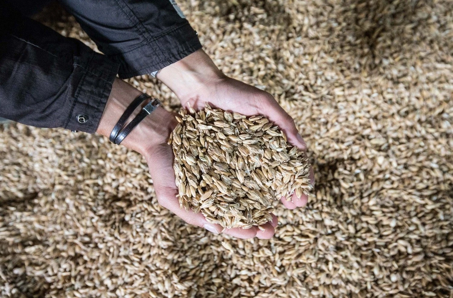 Juditos Grigelytės (VŽ) nuotr.