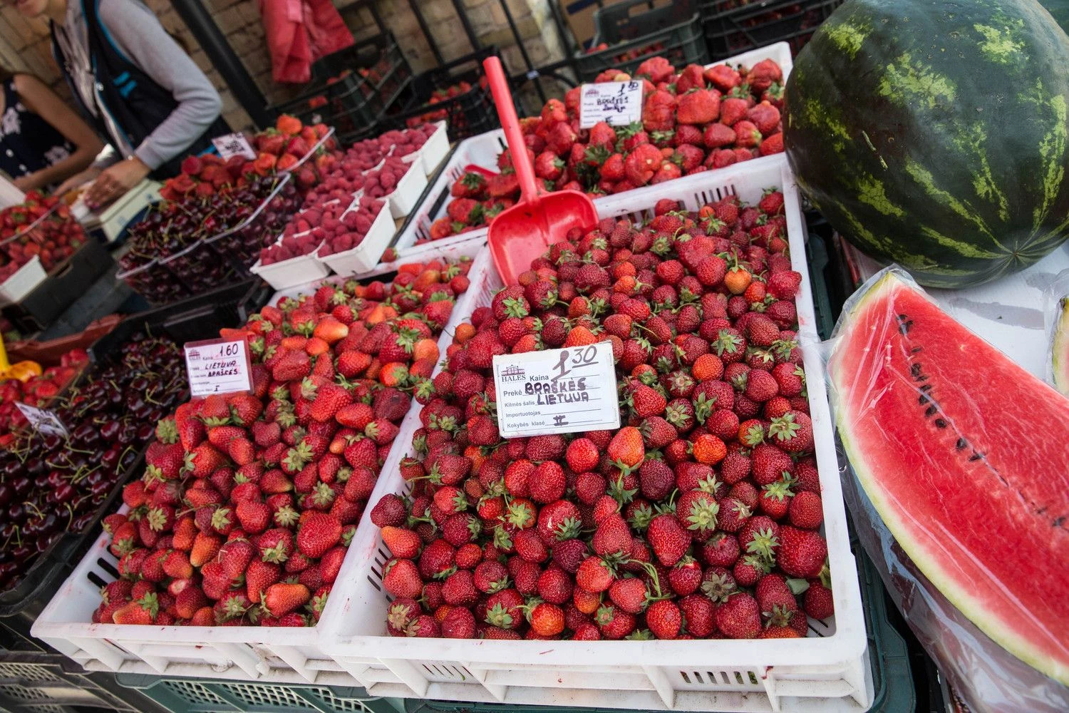 Prisiauginę braškių per daug, smulkieji susiduria su realizacijos problema. Juditos Grigelytės (VŽ) nuotr.