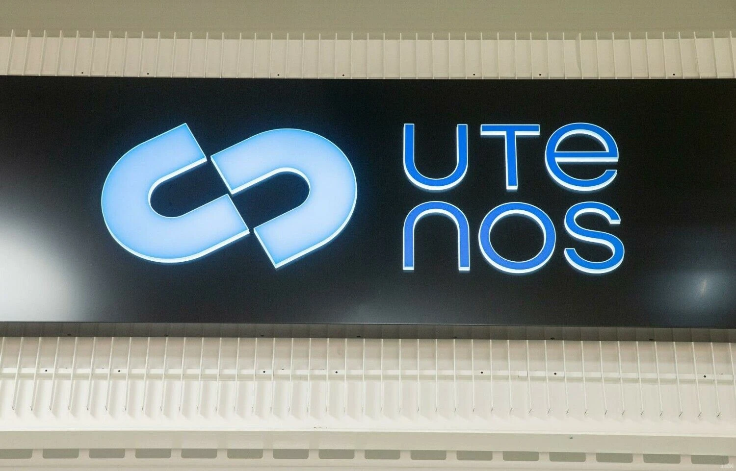 Juditos Grigelytės (VŽ) nuotr.