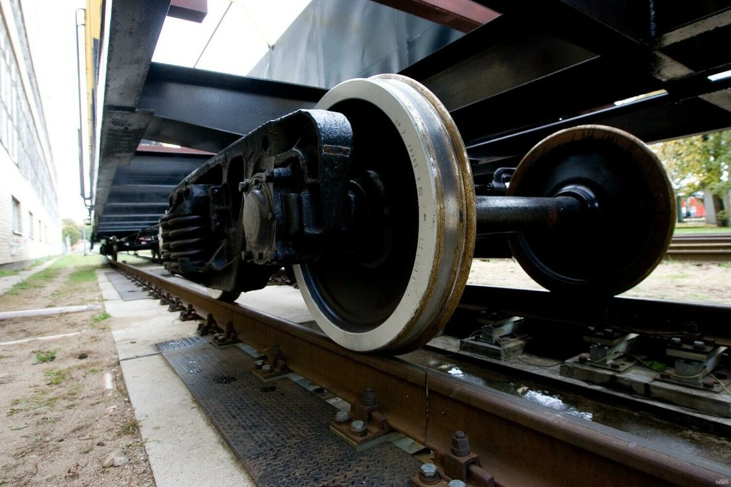 Juditos Grigelytės (VŽ) nuotr.