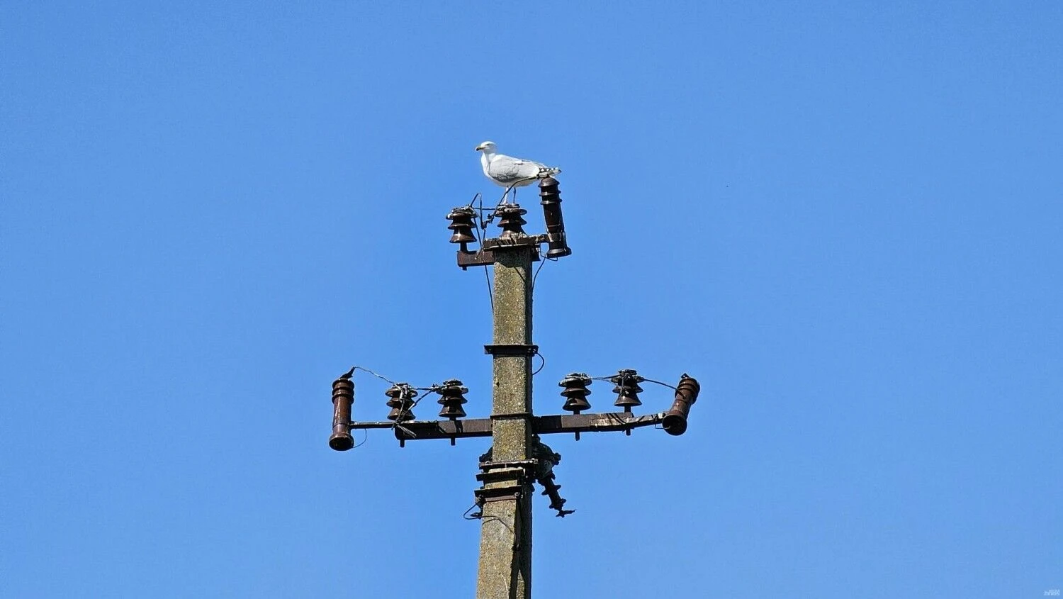 Lino Butkaus (VŽ) nuotr.