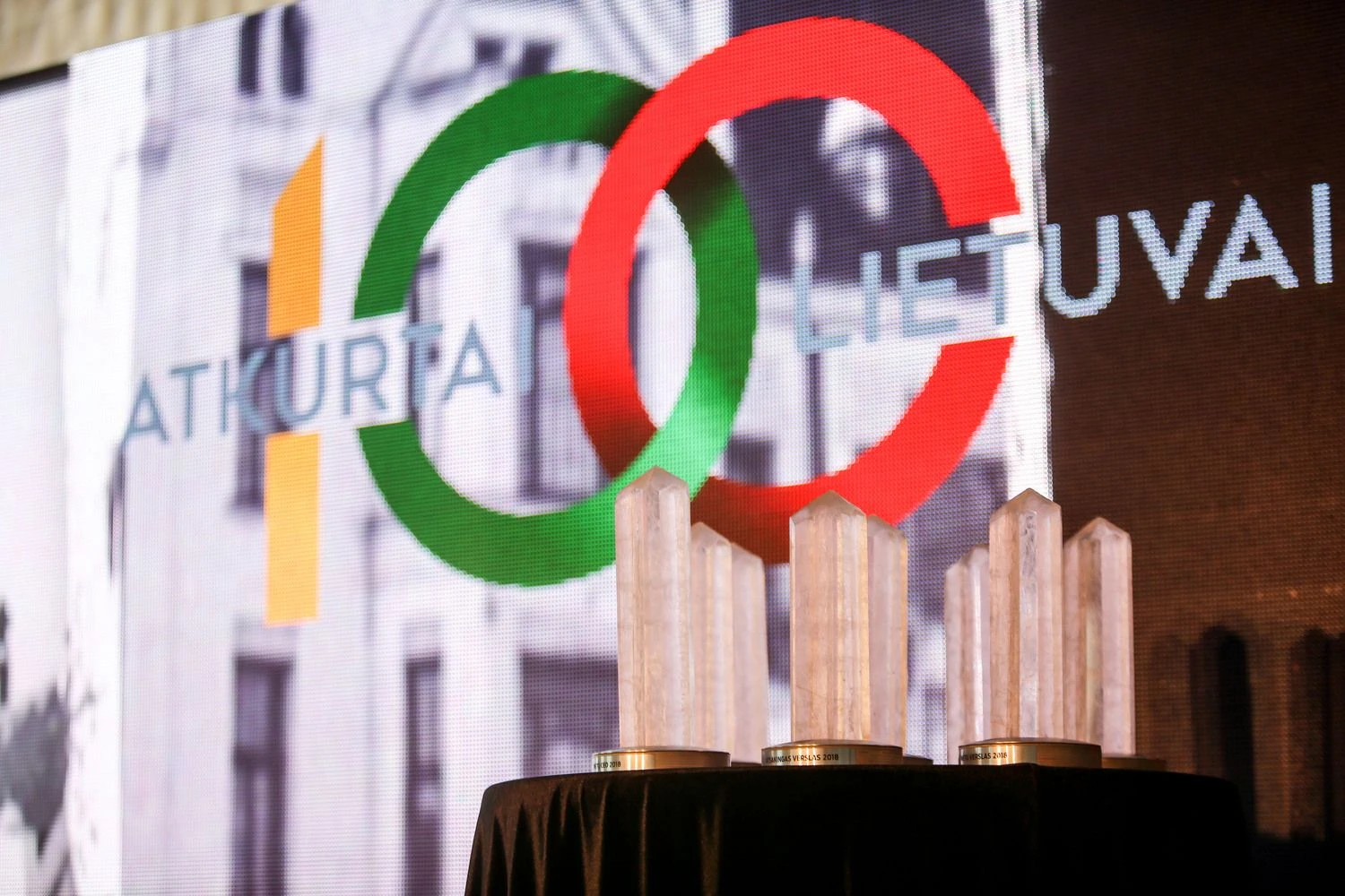 Vladimiro Ivanovo (VŽ) nuotr.