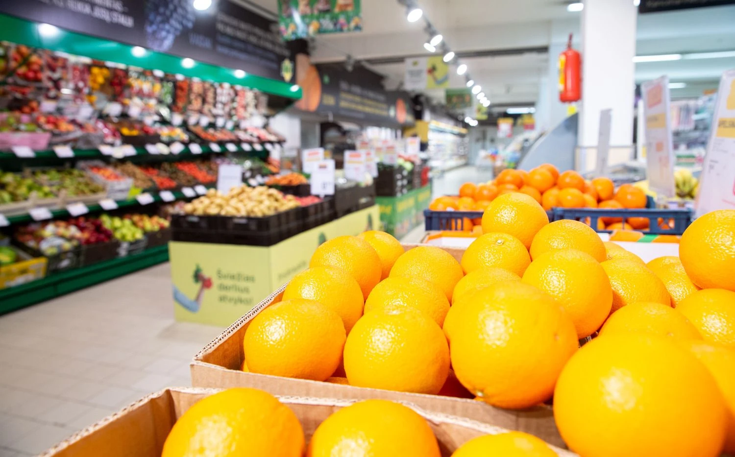 Juditos Grigelytės (VŽ) nuotr.