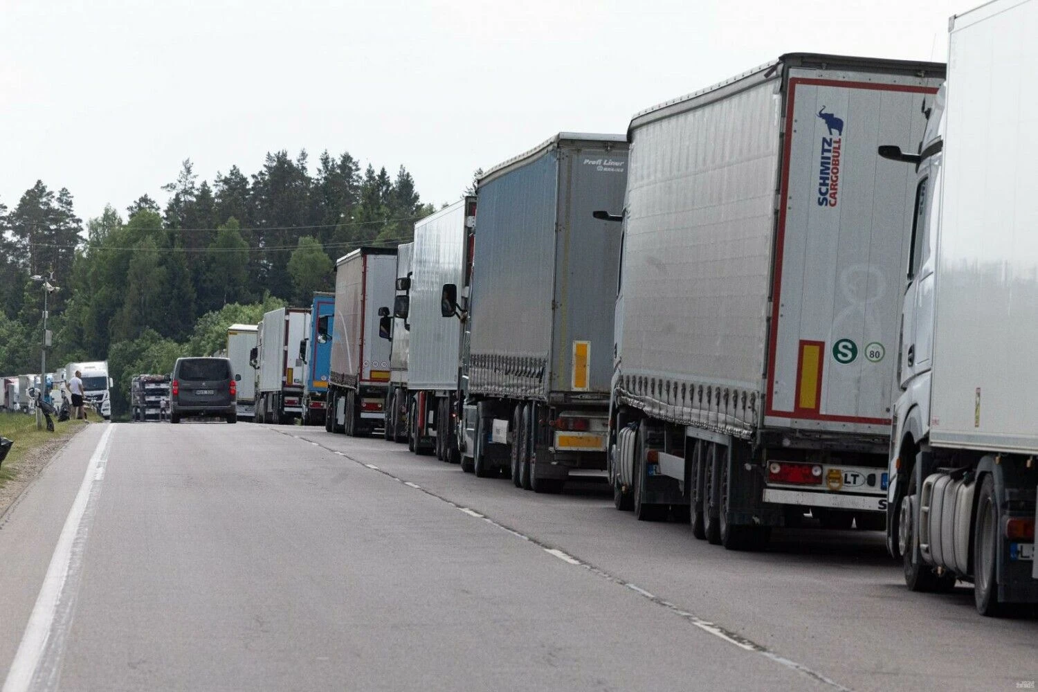 Vladimiro Ivanovo (VŽ) nuotr.