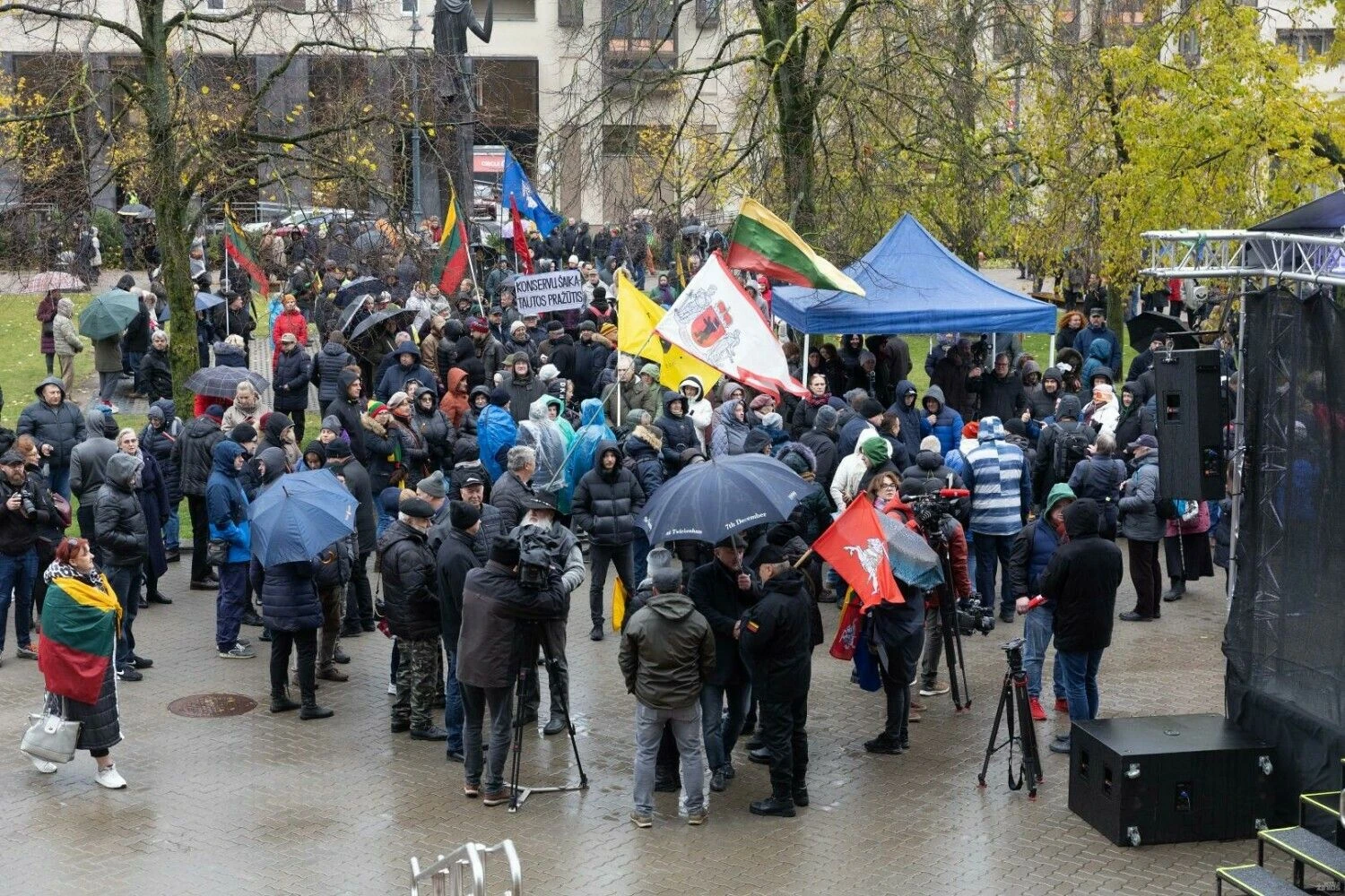 Mitingas prie Seimo dėl nekilnojamojo turto mokesčio pataisų. Pauliaus Peleckio (BNS) nuotr.