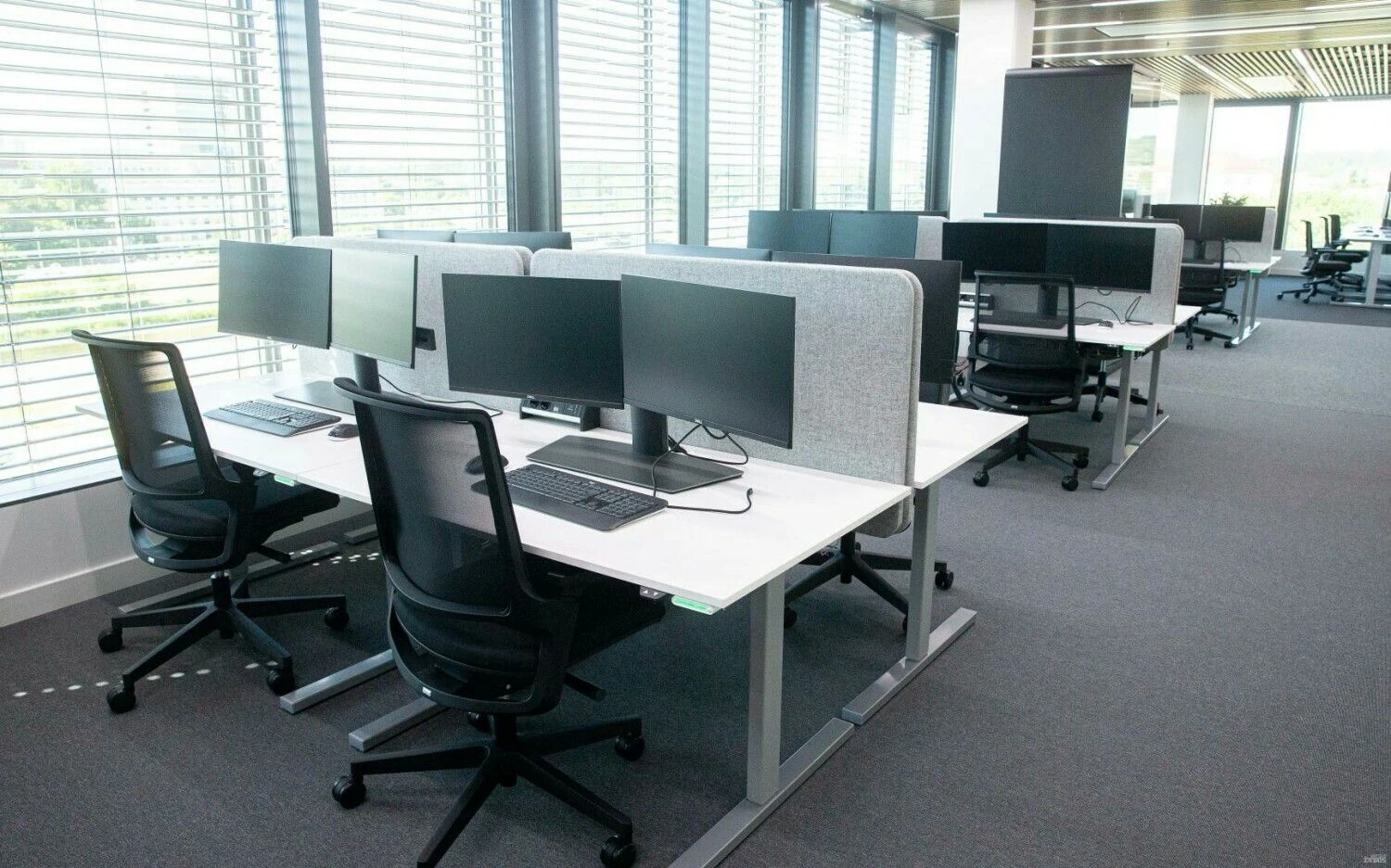 Juditos Grigelytės (VŽ) nuotr.