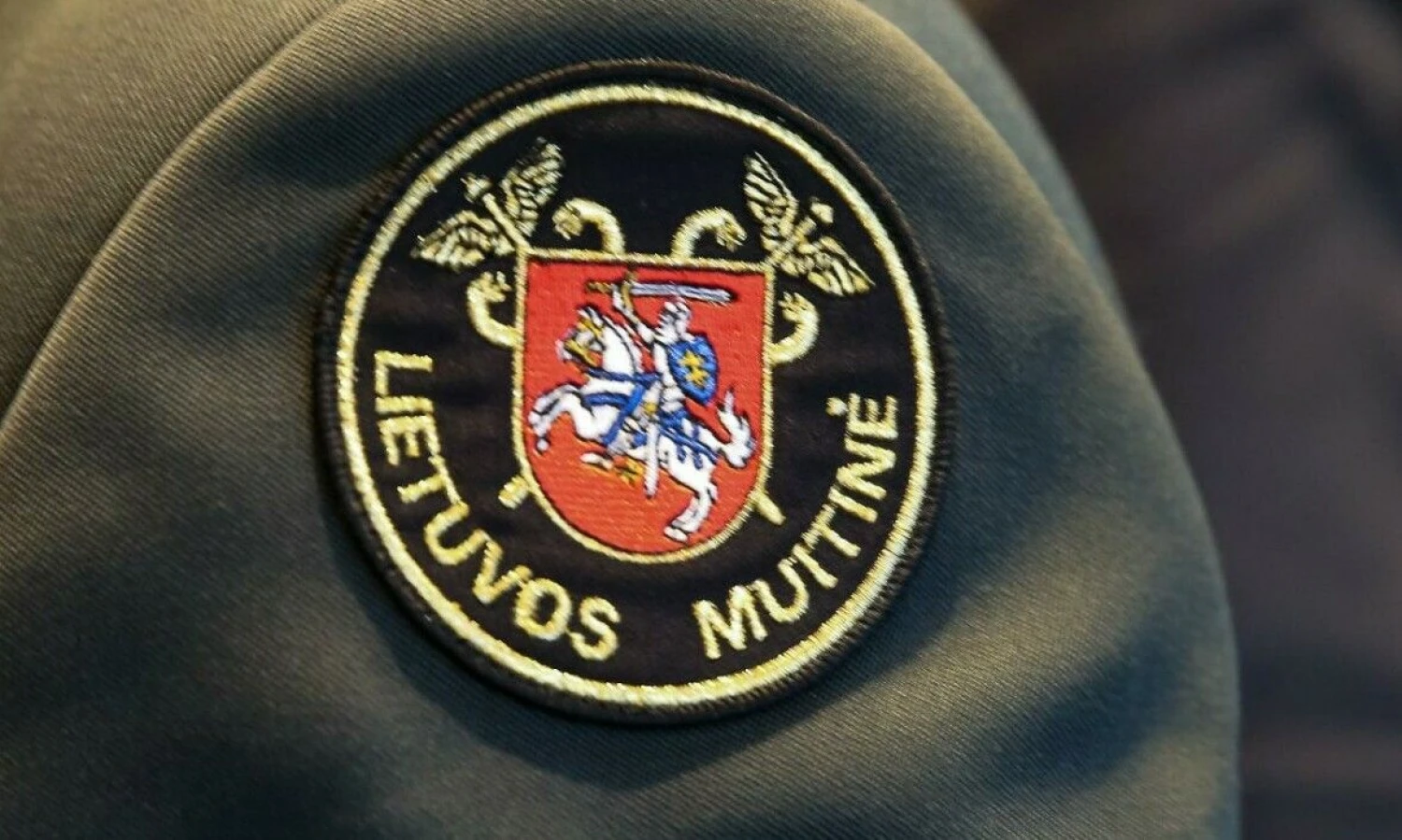 Vladimiro Ivanovo (VŽ) nuotr.