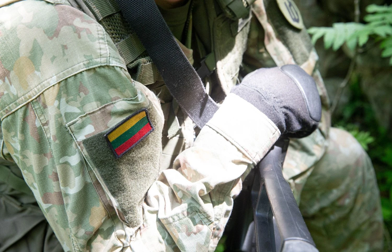 Juditos Grigelytės (VŽ) nuotr.