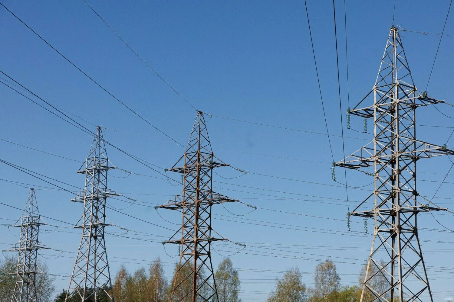 Vladimiro Ivanovo (VŽ) nuotr.