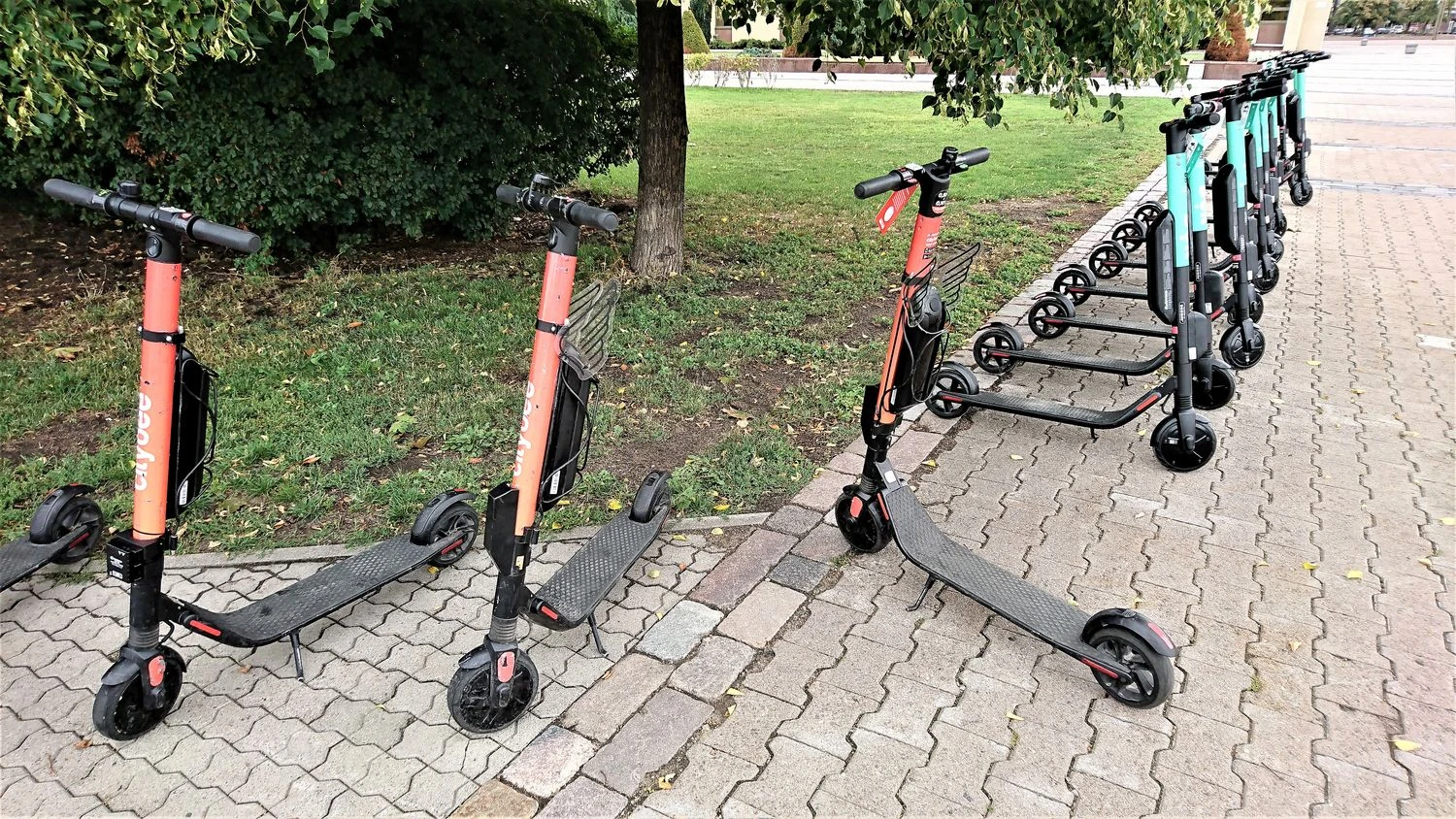 Praėjusią vasarą Lietuvoje naują elektrinių paspirtukų nuomos rinką atvėrė du operatoriai: vietinis „CityBee“ ir Estijos platforma „Bolt“. Lino Butkaus (VŽ) nuotr.