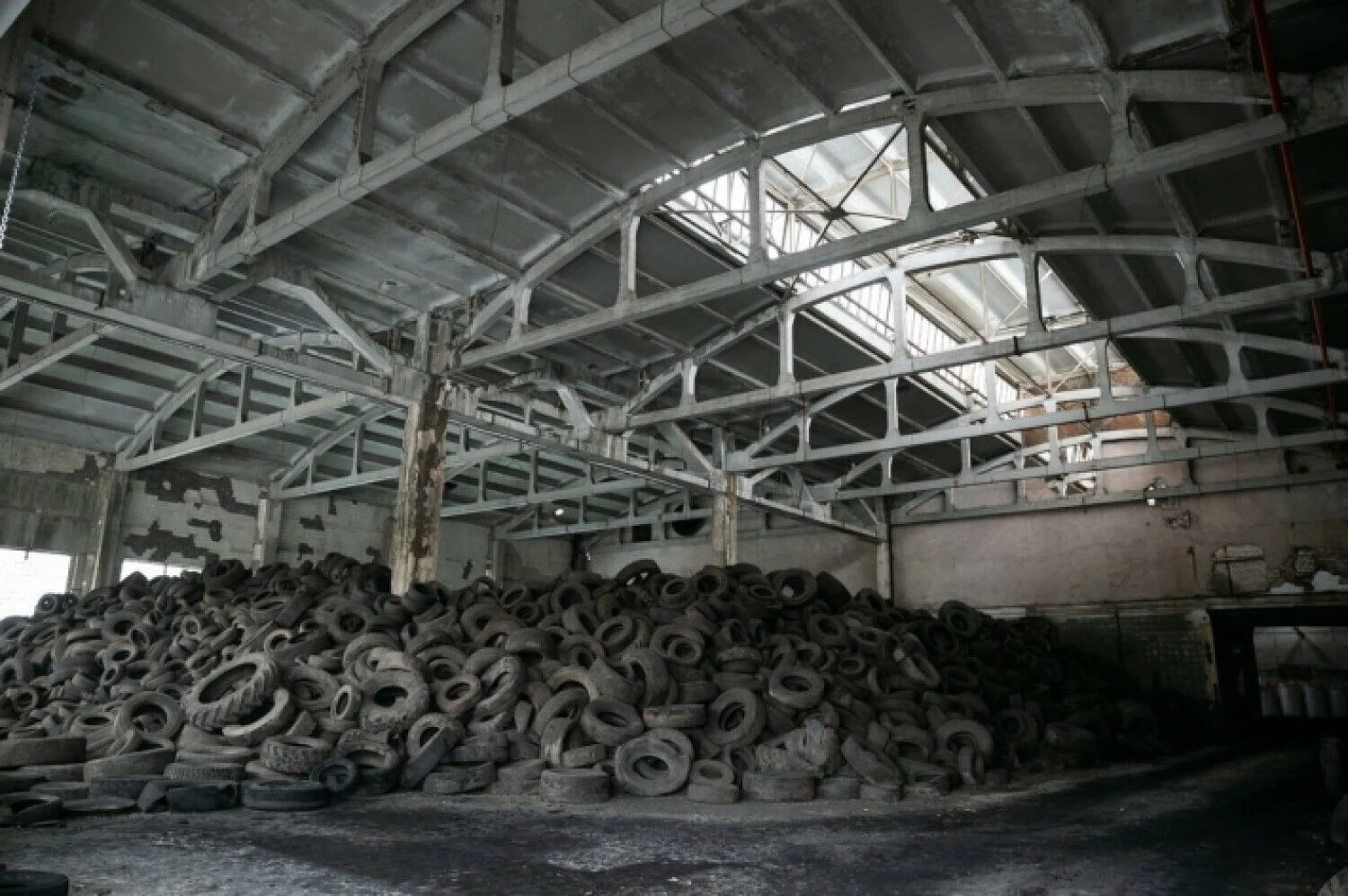 Žygimanto Gedvilos (BNS) nuotr.