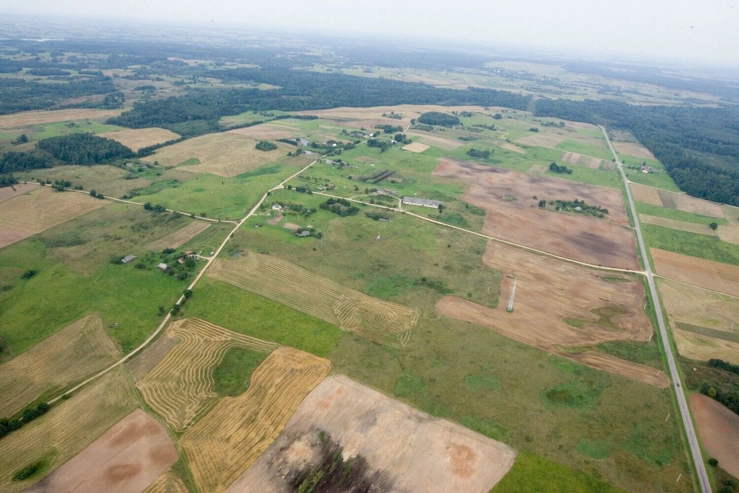 Juditos Grigelytės (VŽ) nuotr.