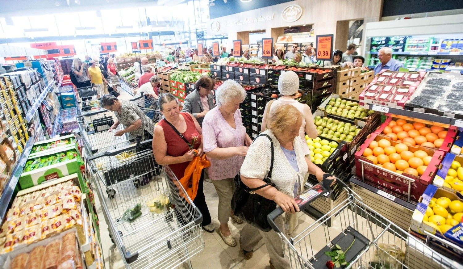 „Lidl“ per pirmą mėnesį pardavė prekių daugiau nei buvo numatęs optimistiškiausiose prognozėse.
JUDITOS GRIGELYTĖS (VŽ) NUOTR.