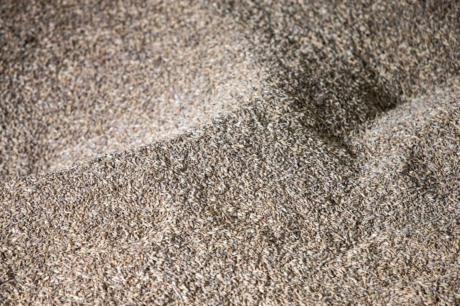 Juditos Grigelytės (VŽ) nuotr.