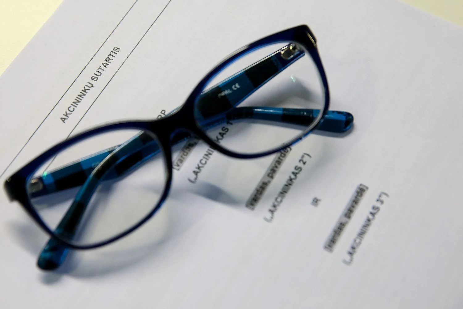 Vladimiro Ivanovo (VŽ) nuotr.