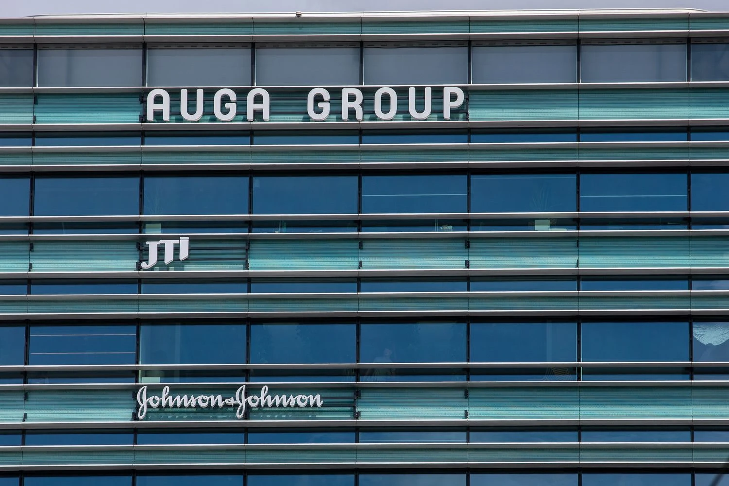 Vladimiro Ivanovo (VŽ) nuotr.