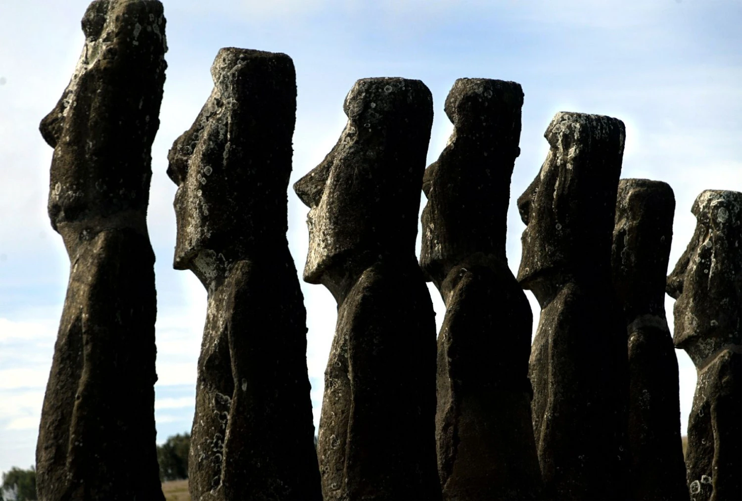 „Moajų“ stovylos Ahu Akivi, pietinėje Velykų salos dalyje. „REUTERS“/„SCANPIX“ nuotr. 
