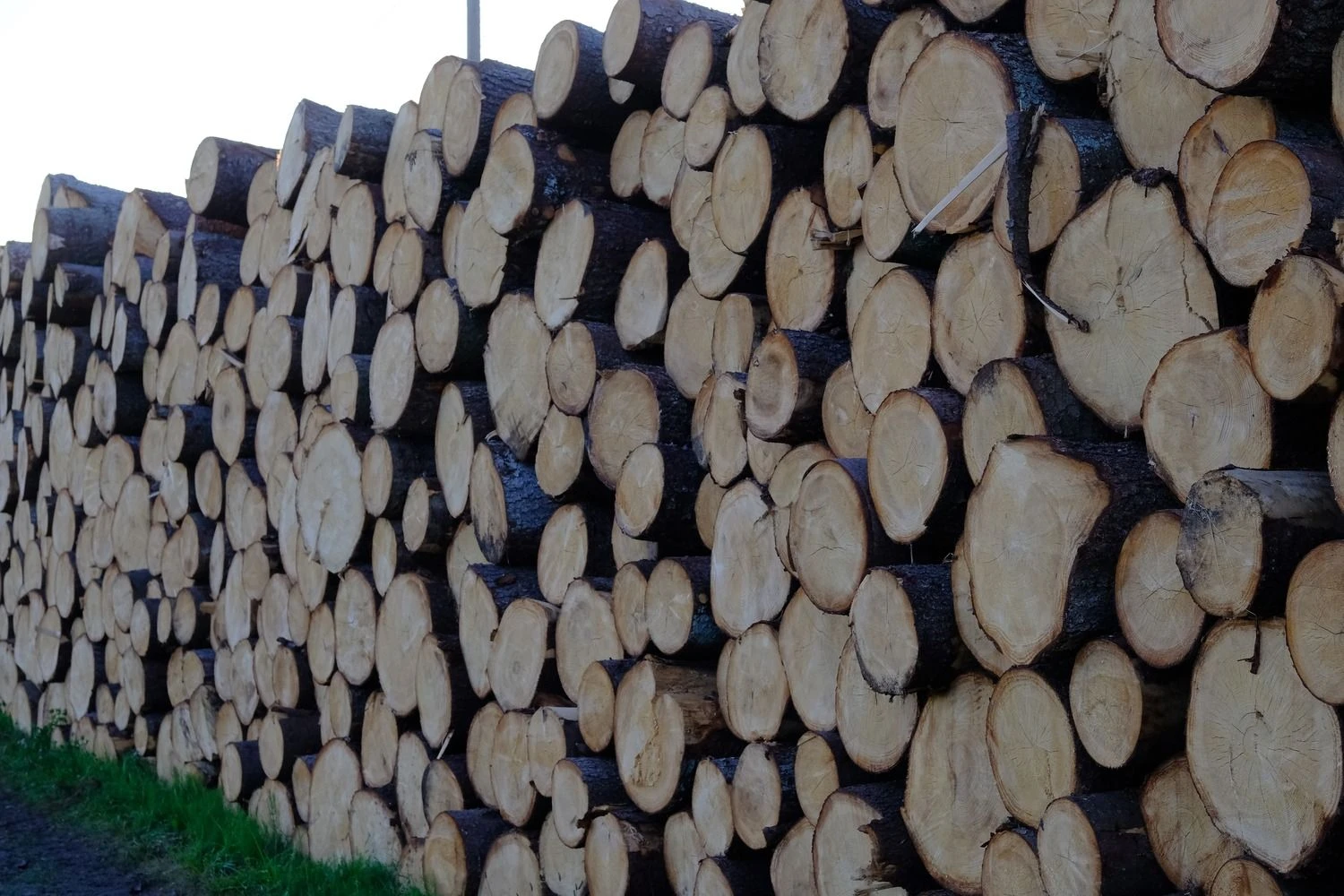 Vladimiro Ivanovo (VŽ) nuotr.