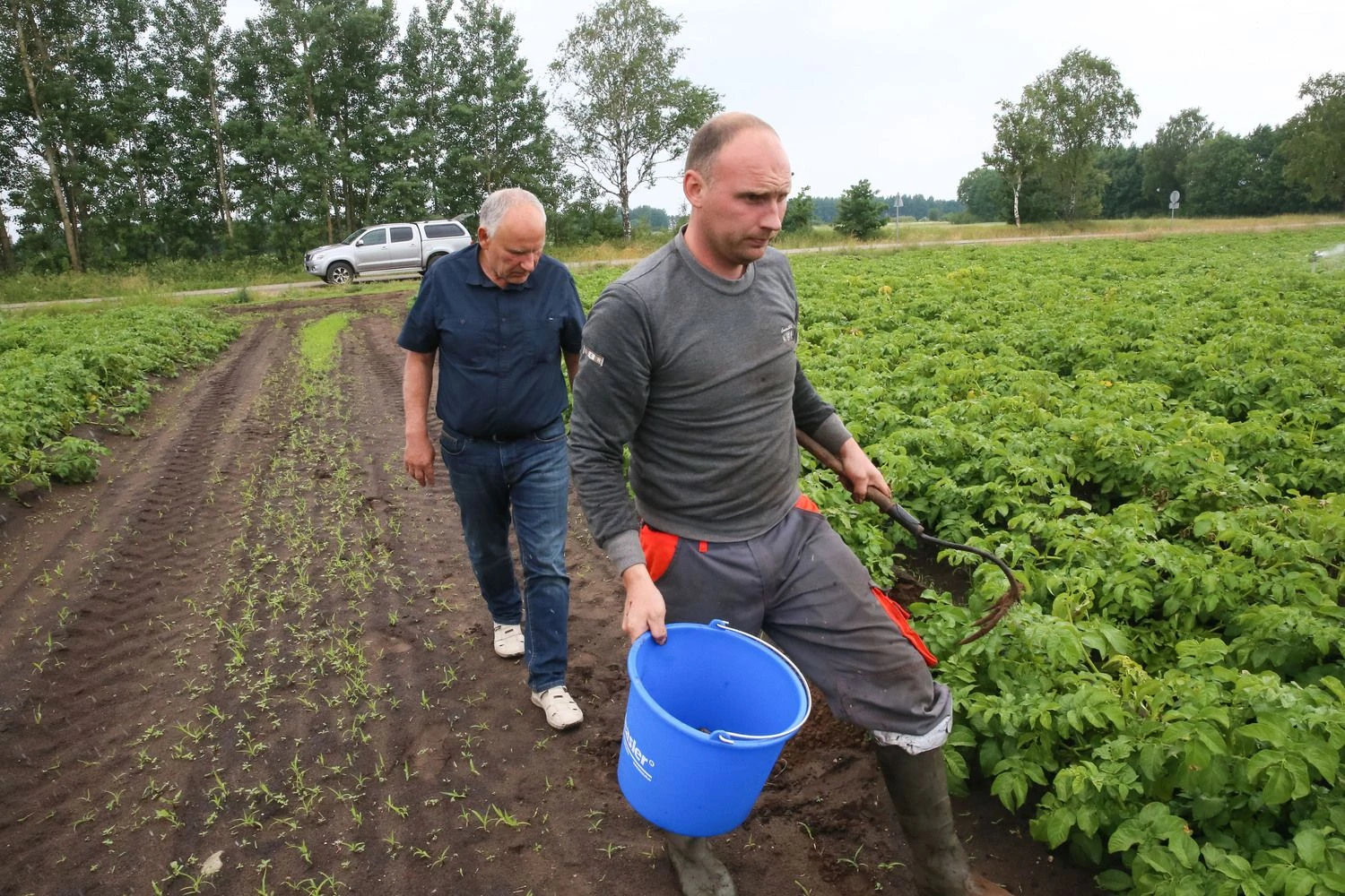 „VFarm“ dirba beveik visa Vasiliauskų šeima. Vladimiro Ivanovo (VŽ) nuotr.