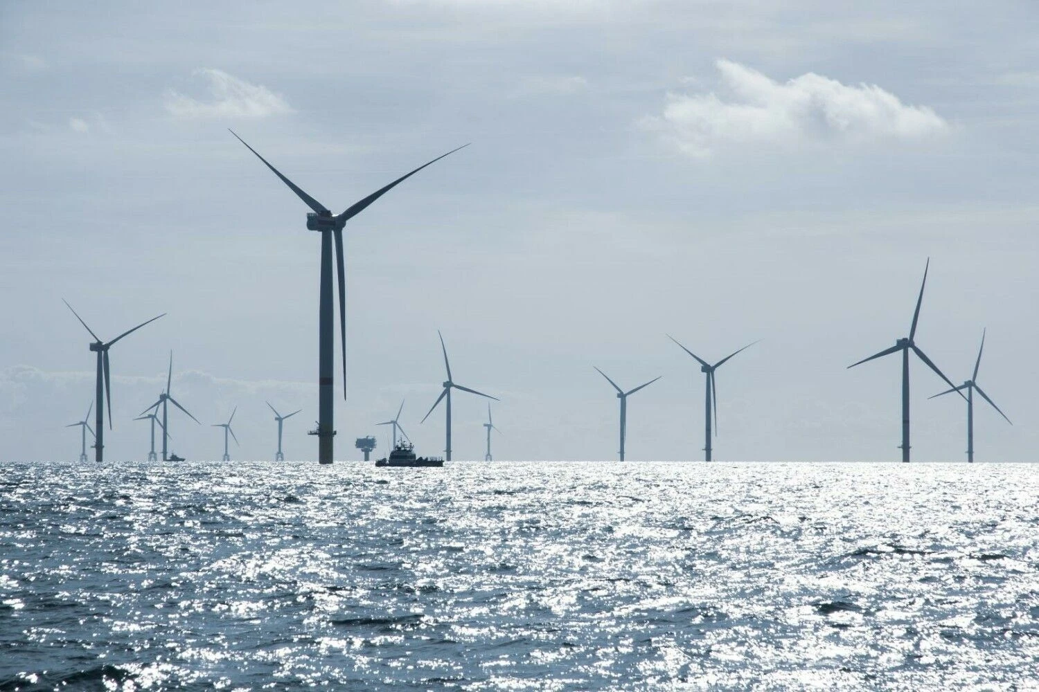 „Shutterstock“ nuotr.