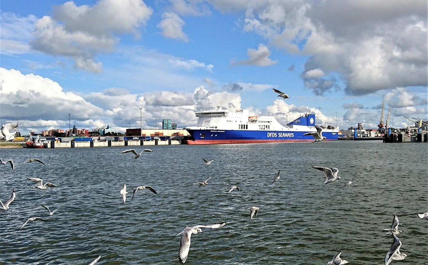 „Regina Seaways“ Klaipėdos uoste. Lino Butkaus (VŽ) nuotr.