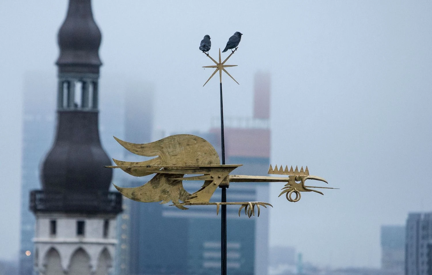 Estijos sostinė Talinas. Juditos Grigelytės (VŽ) nuotr.