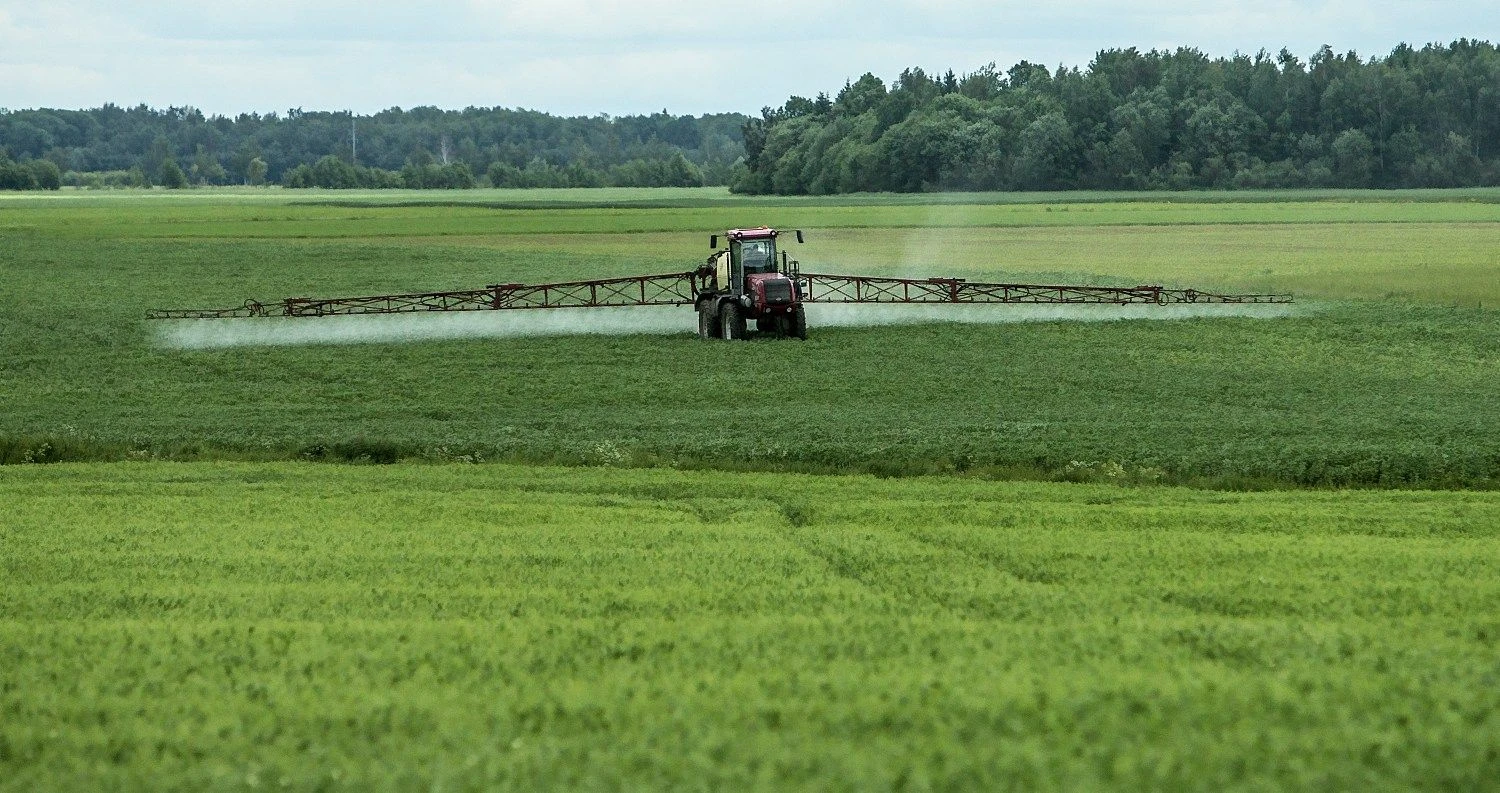 Juditos Grigelytės (VŽ) nuotr.