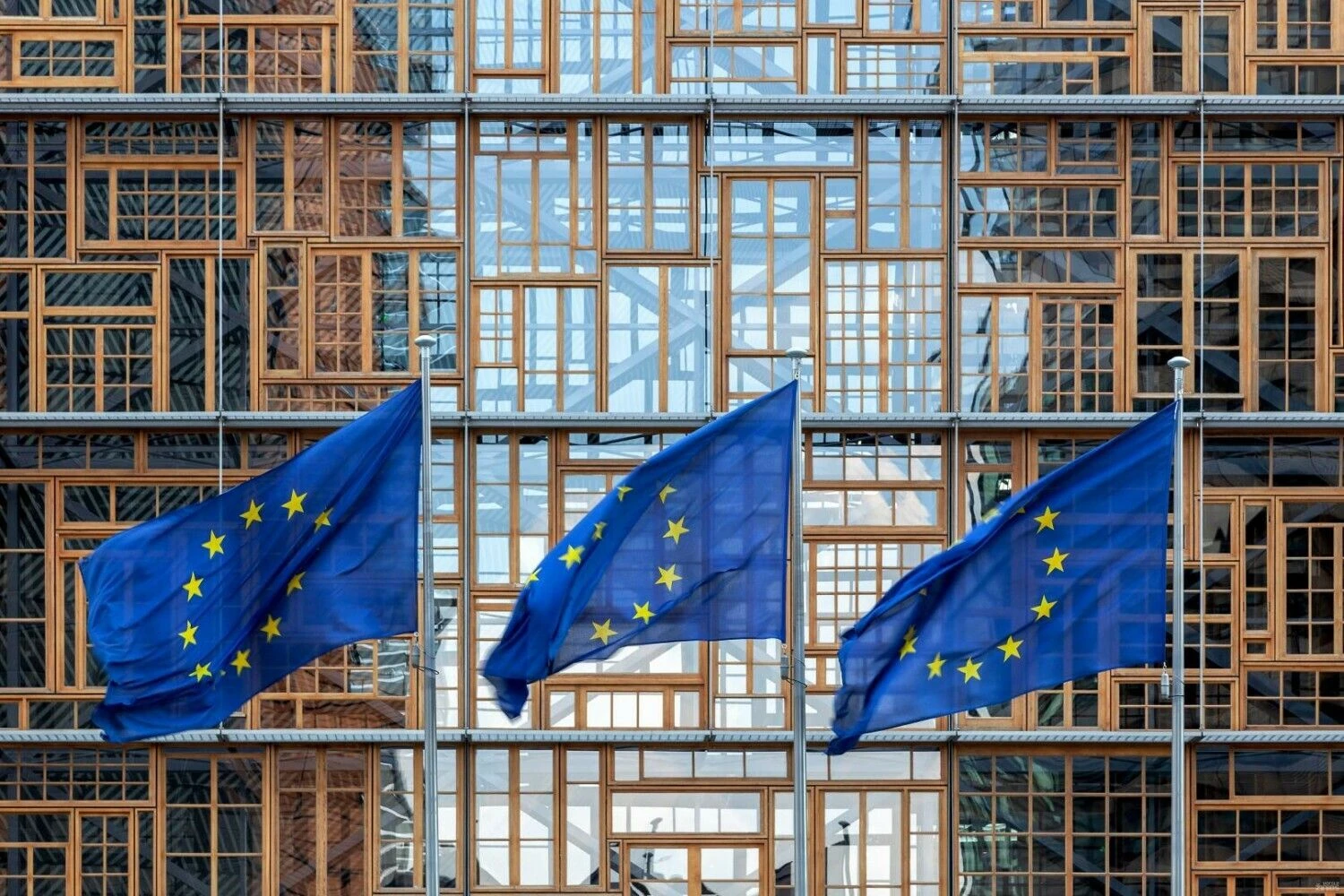 Europos Sąjungos vėliava. Shutterstock nuotr.