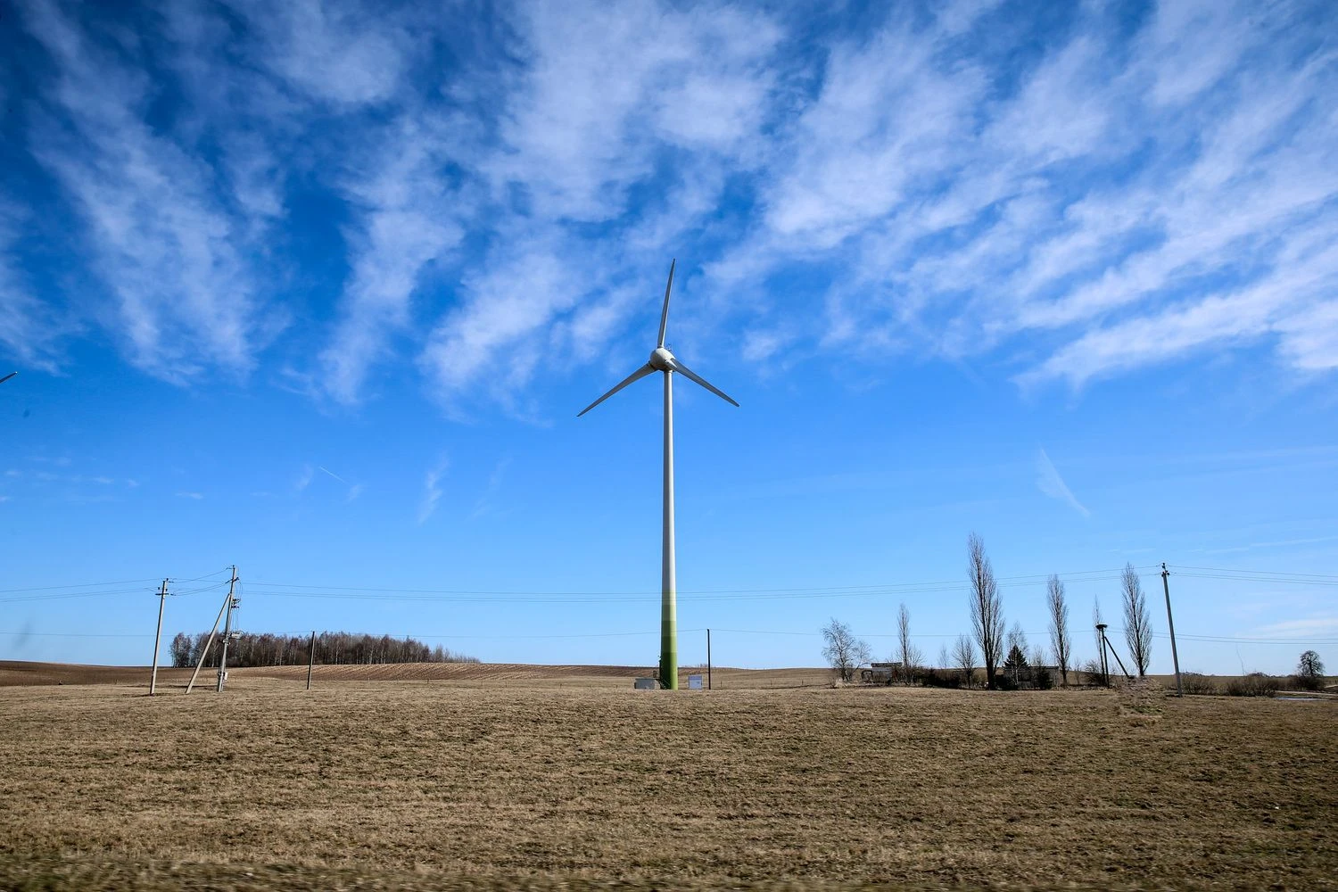  Vladimiro Ivanovo (VŽ) nuotr.