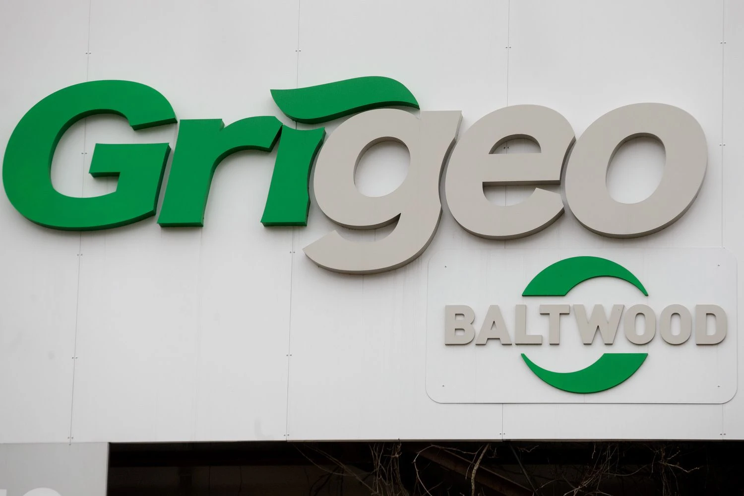 Vladimiro Ivanovo (VŽ) nuotr.