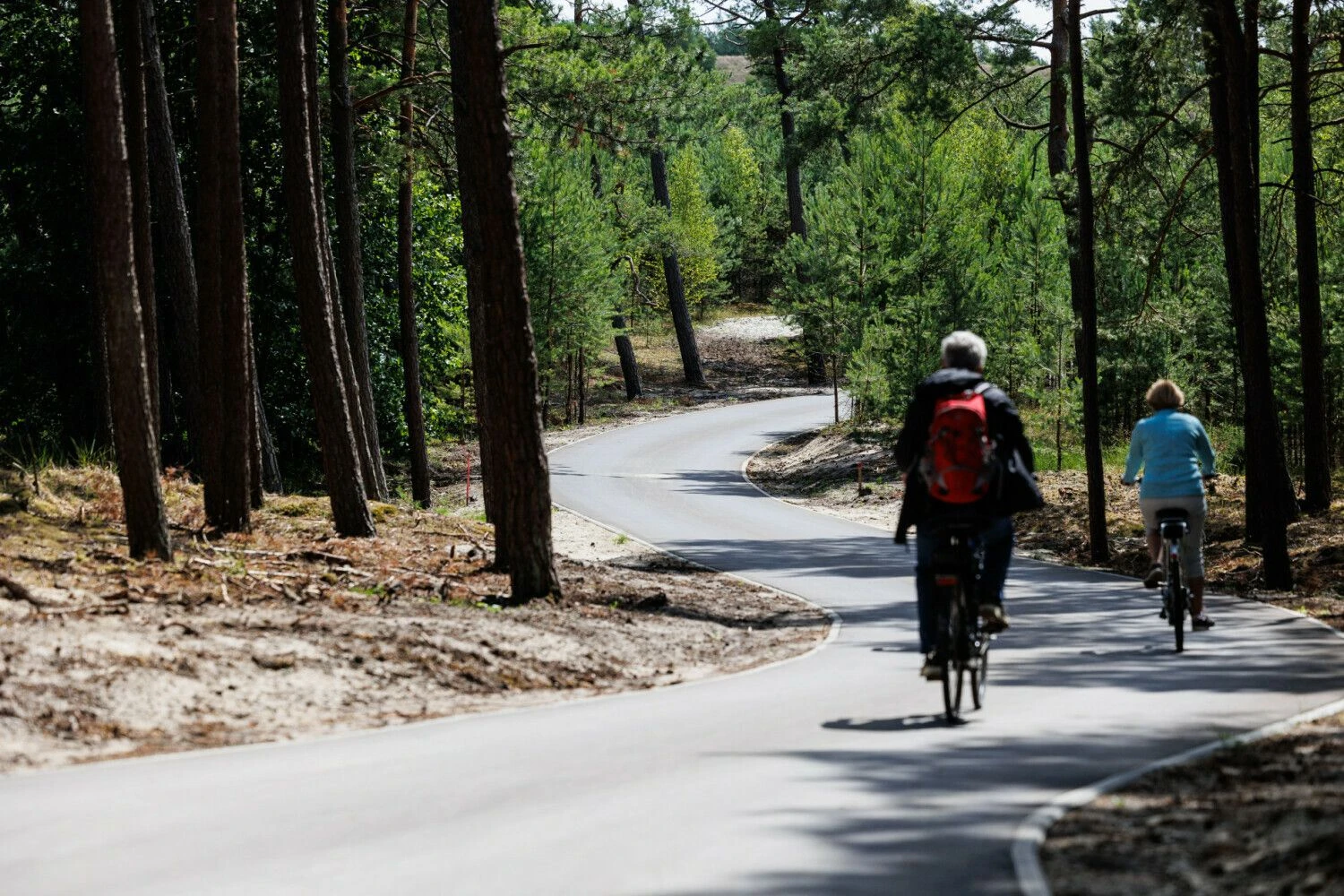 Rekonstruotas dviračių takas Smiltynė–Juodkrantė. Eriko Ovčarenko (BNS) nuotr.